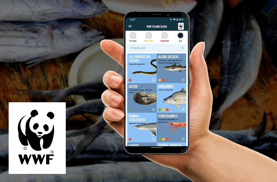 Bild von WWF Fischratgeber App entwickelt von apptec